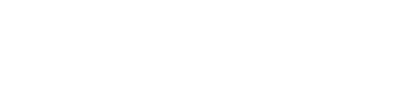 light logo